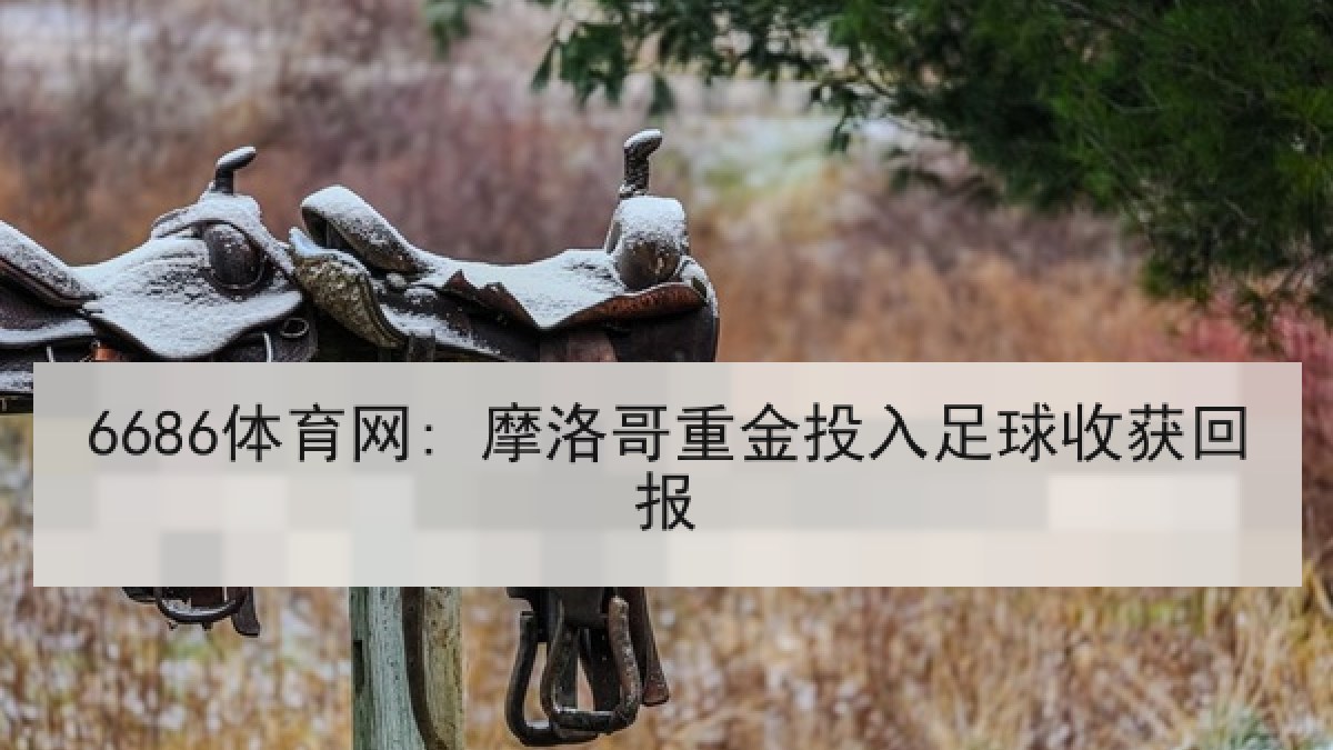6686体育网: 摩洛哥重金投入足球收获回报